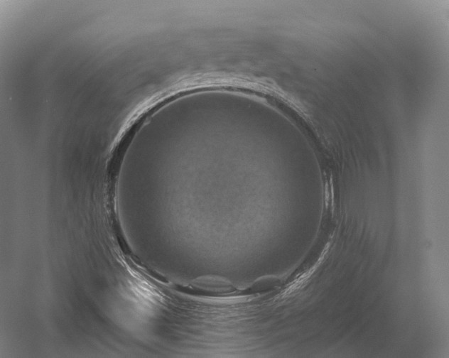 X0000057571501200509231212