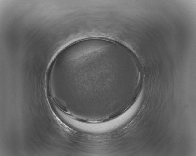 X0000057571508200509231212