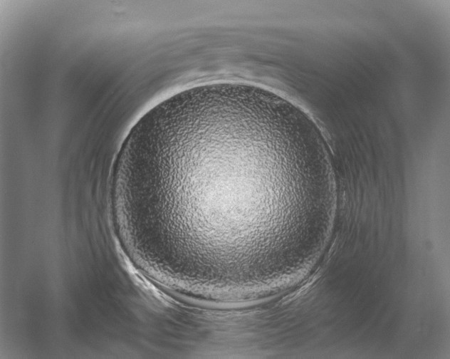 X0000057571534200509231212