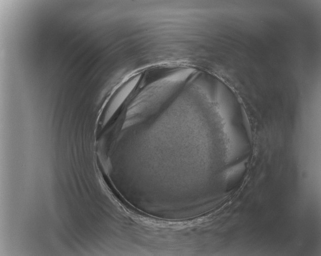 X0000057570002200509302123