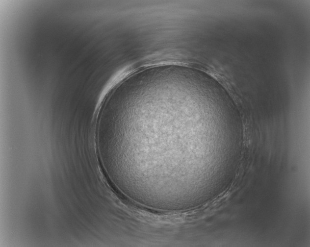X0000057570004200509302123