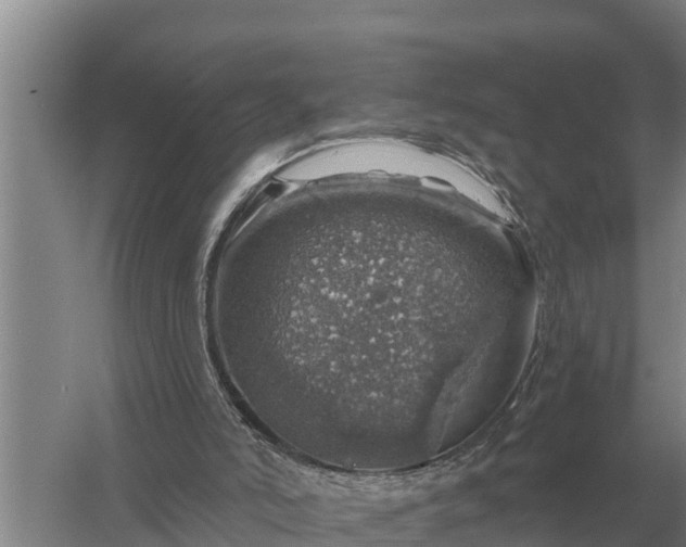 X0000057570006200509302123