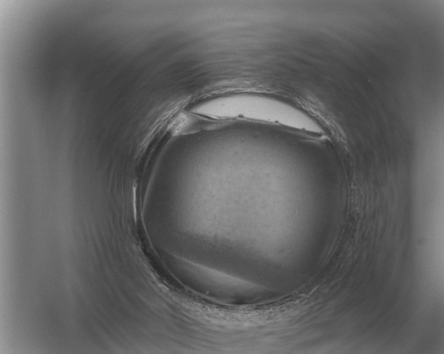 X0000057570014200509302123