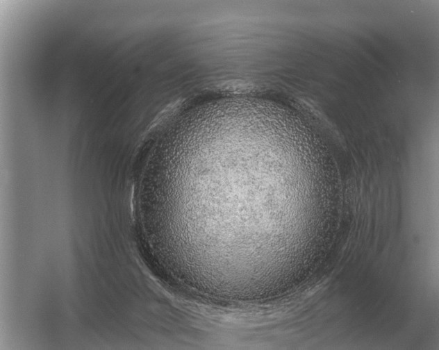X0000057570024200509302123