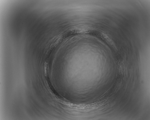 X0000057570026200509302123
