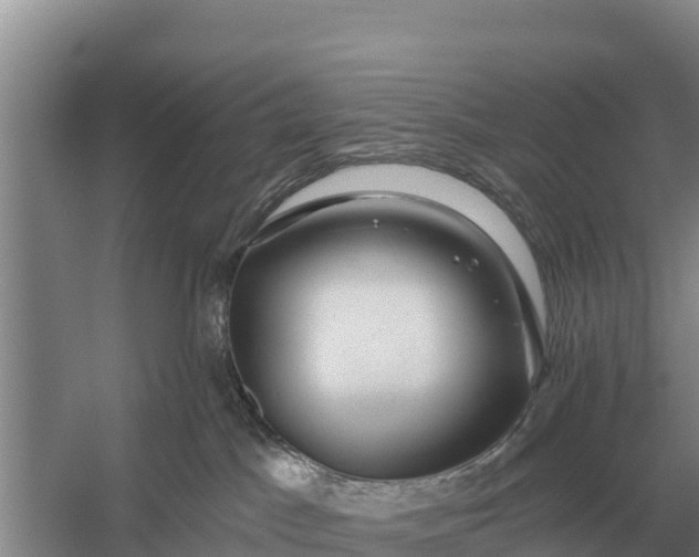X0000057570045200509302122