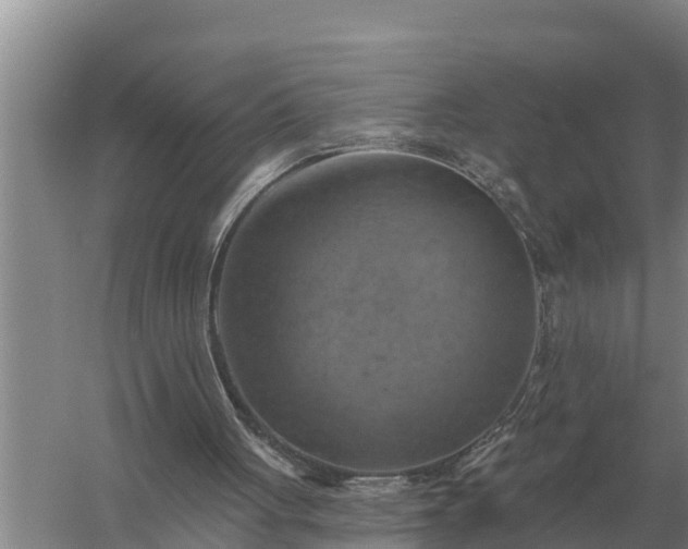 X0000057570051200509302122