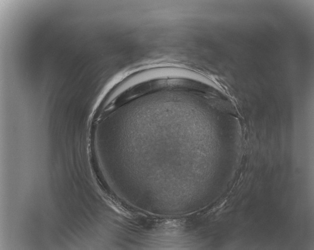 X0000057570056200509302122