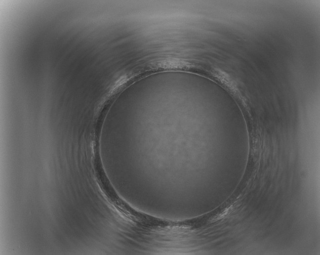 X0000057570063200509302122