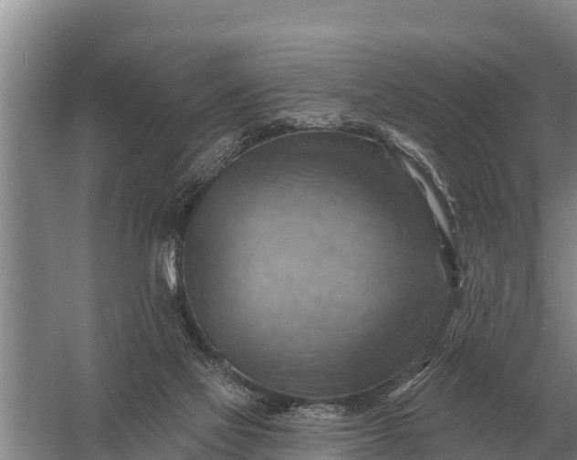 X0000057570069200509302122