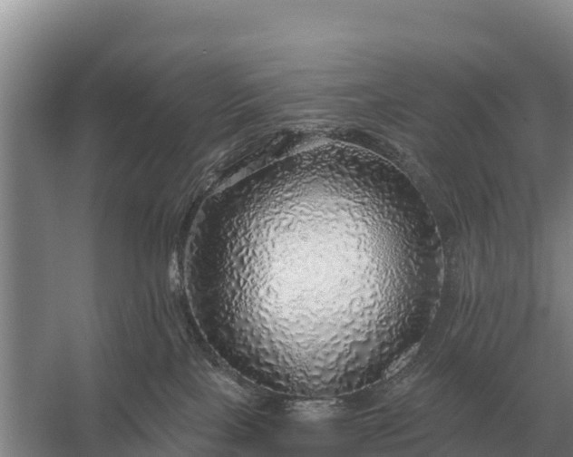 X0000057570089200509302122