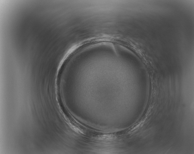 X0000057570102200509302121