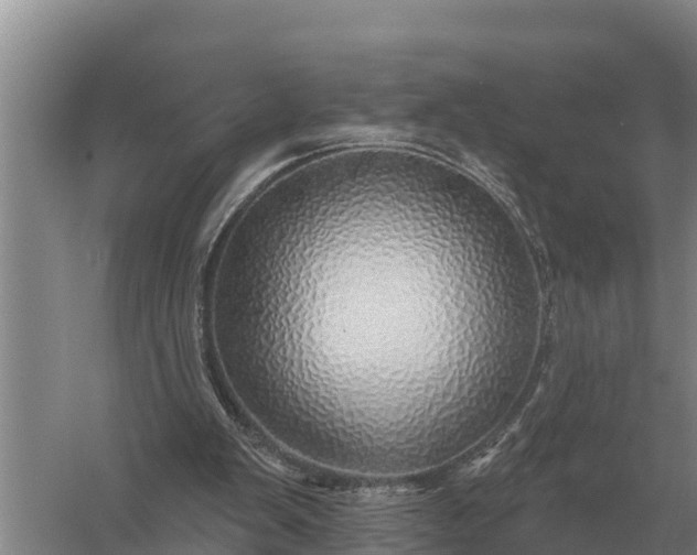 X0000057570103200509302121