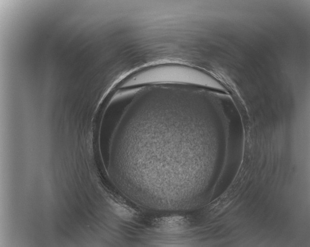 X0000057570108200509302121