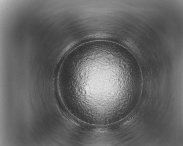X0000057570111200509302121