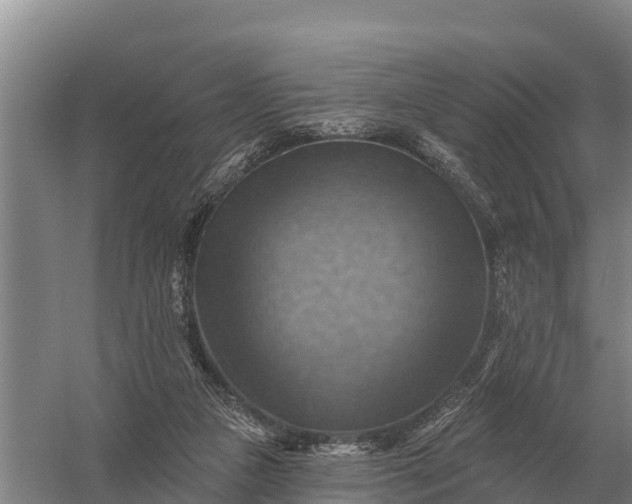 X0000057570161200509302120