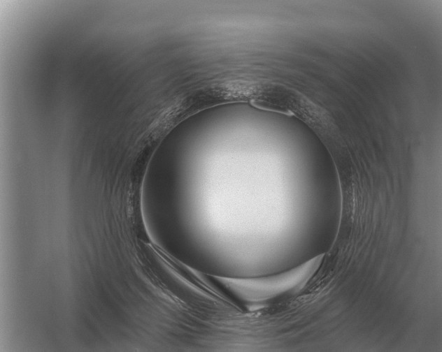 X0000057570215200509302119