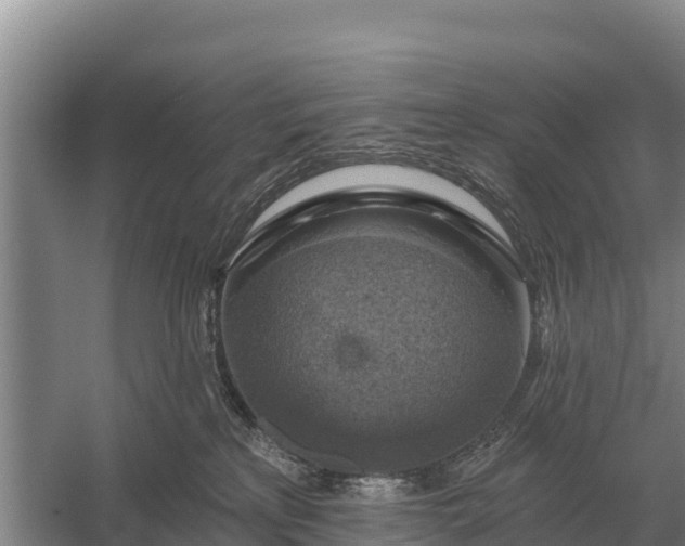X0000057570233200509302119