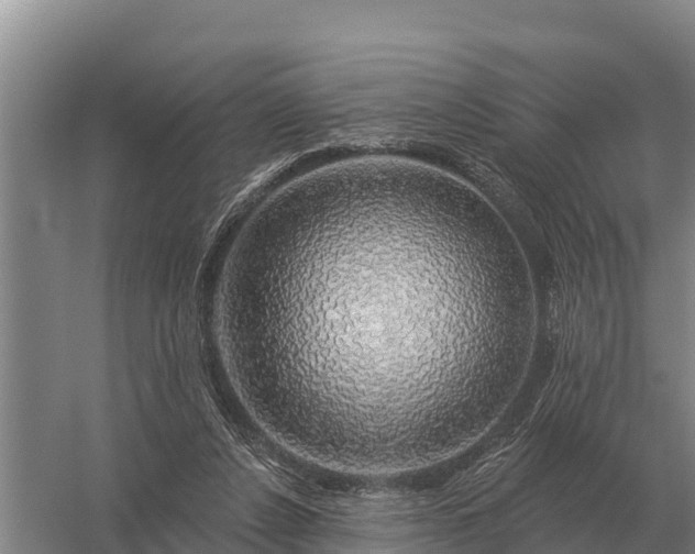 X0000057570256200509302118