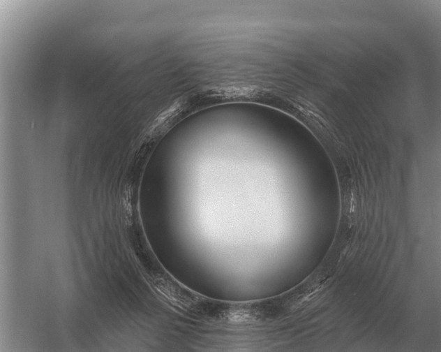 X0000057570264200509302119