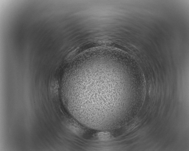 X0000057570279200509302119
