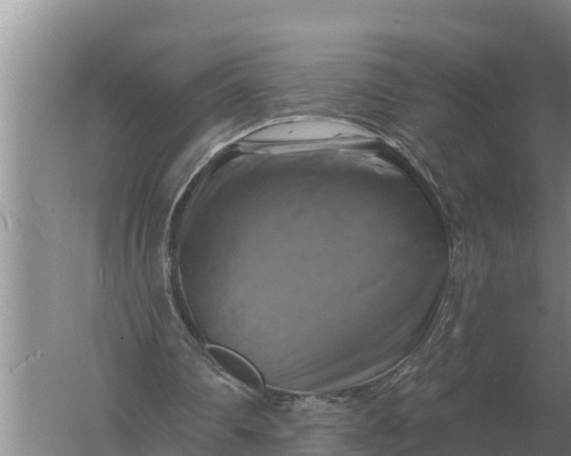 X0000057570290200509302118