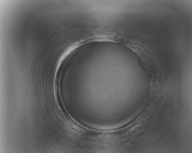 X0000057570294200509302118