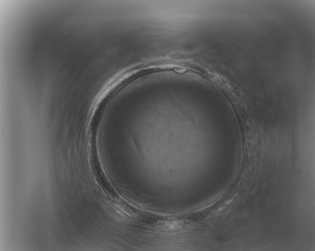 X0000057570295200509302118