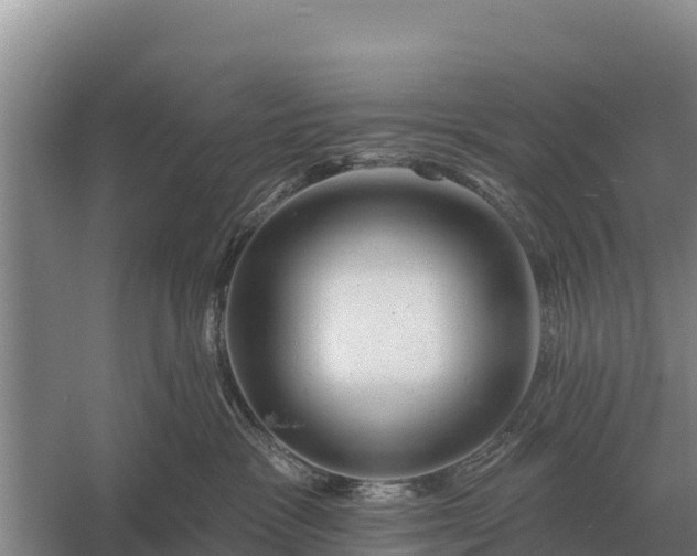 X0000057570333200509302117
