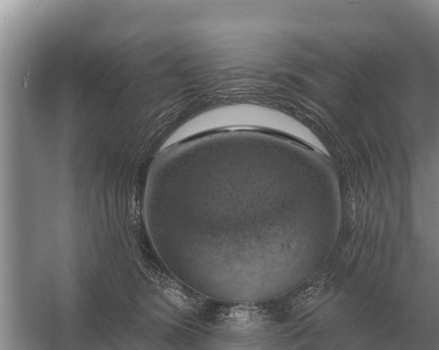 X0000057570420200509302116