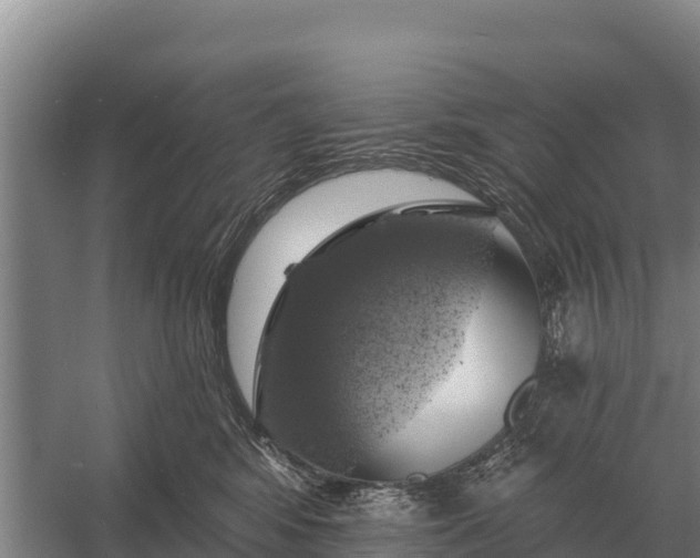 X0000057570424200509302116