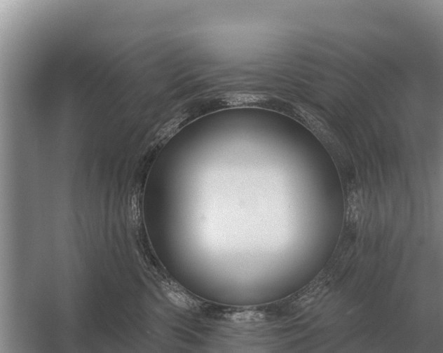 X0000057570426200509302116
