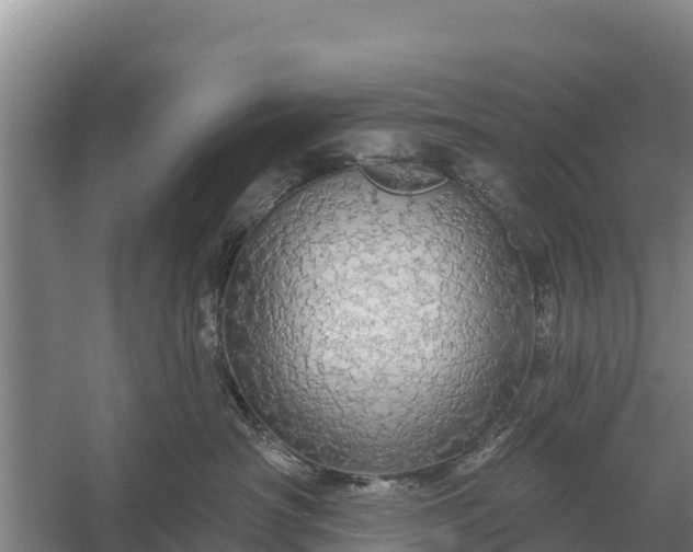 X0000057570430200509302116
