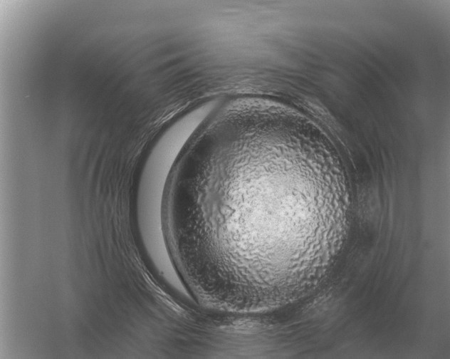 X0000057570441200509302115