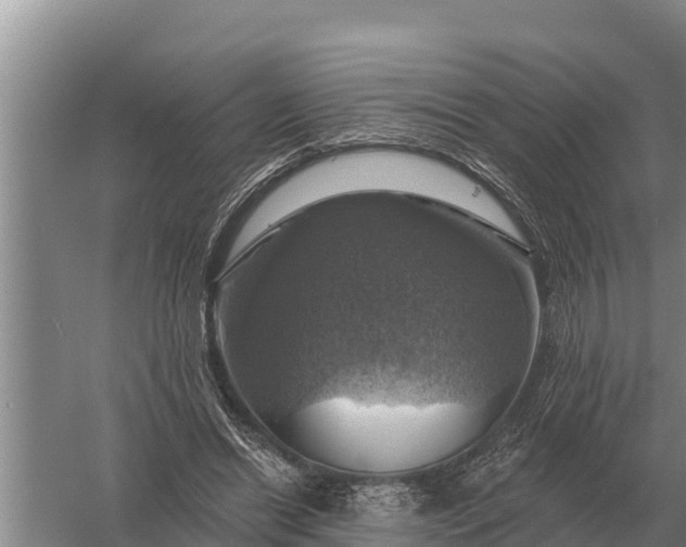 X0000057570446200509302115