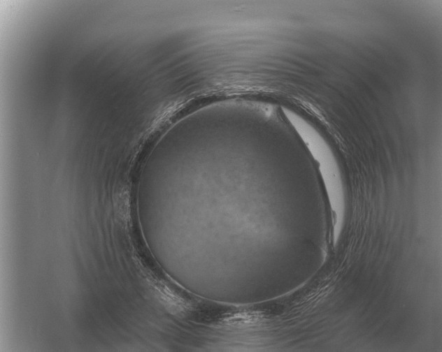 X0000057570447200509302115