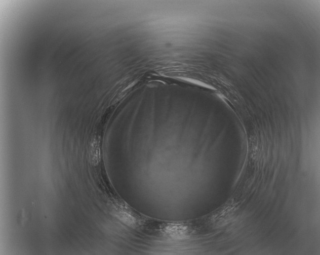 X0000057570471200509302116
