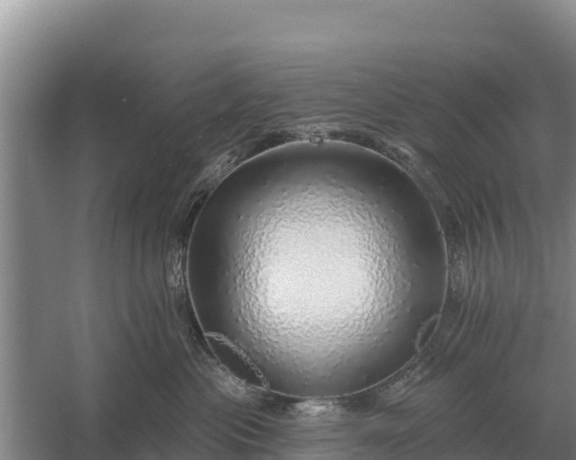 X0000057570477200509302116