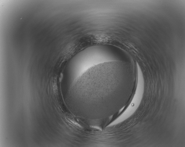 X0000057570516200509302114