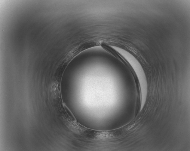 X0000057570521200509302114