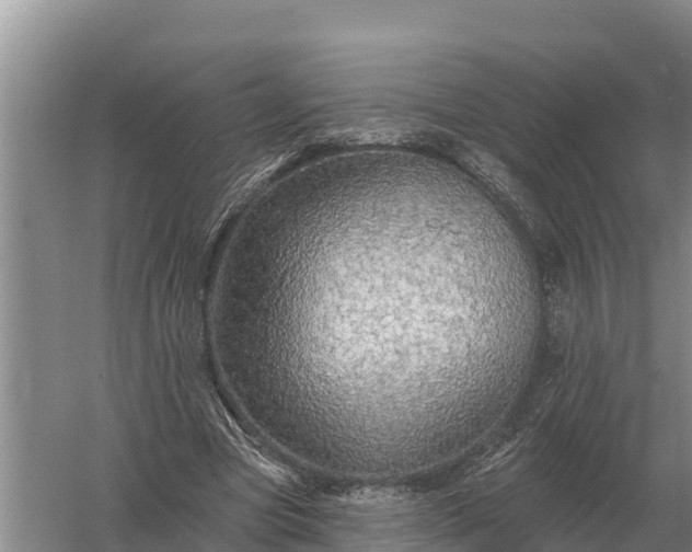X0000057570537200509302113