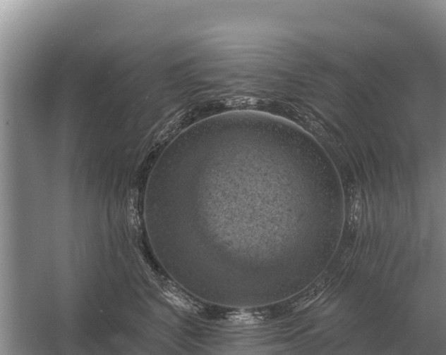 X0000057570616200509302113