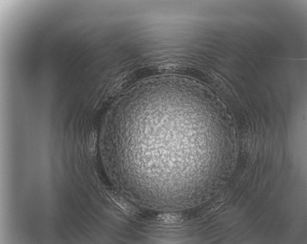 X0000057570660200509302112