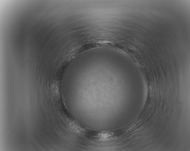 X0000057570662200509302112