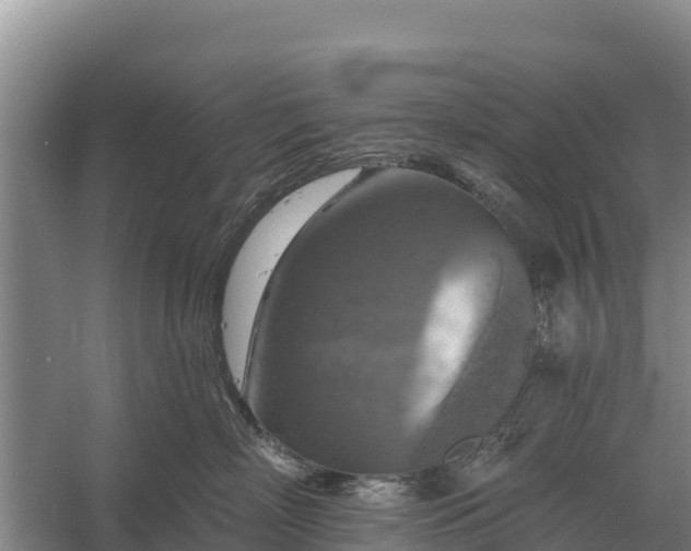 X0000057570718200509302111