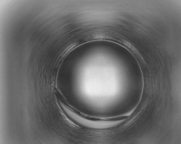 X0000057570801200509302109