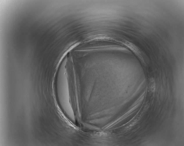 X0000057570806200509302109