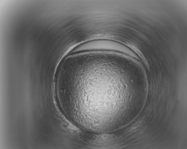 X0000057570992200509302106