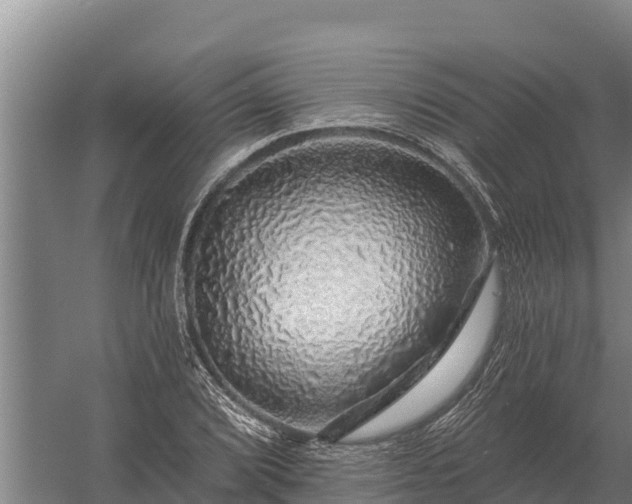 X0000057571072200509302105