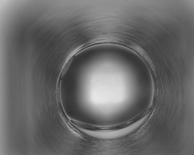 X0000057571242200509302103